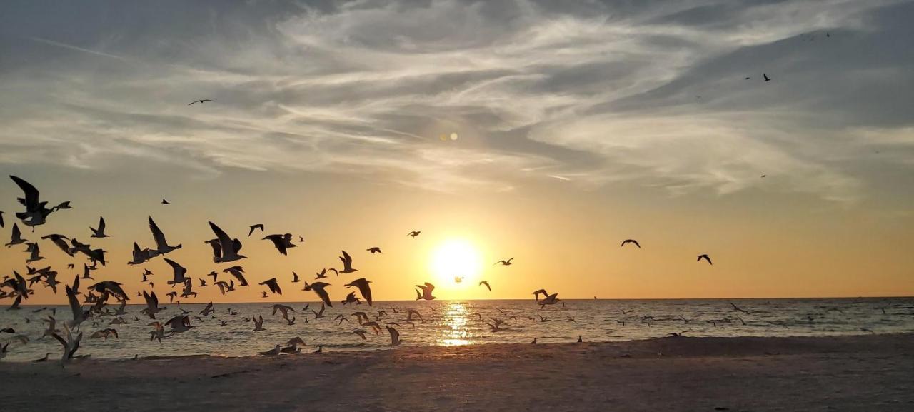 Sunset Vistas 407S Villa St. Pete Beach Dış mekan fotoğraf